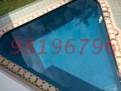 Faber Hills (D5), Detached #95464172